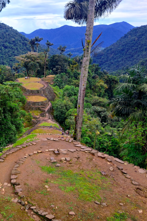 Ciudad Perdida
